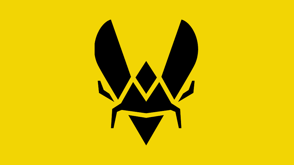 Team Vitality - Image 1