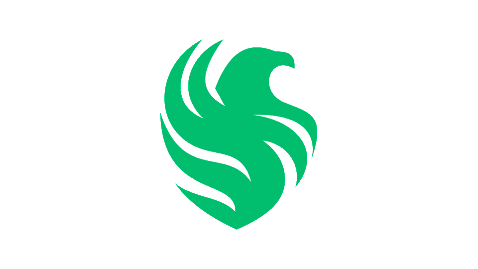 Team Falcons - Image 1